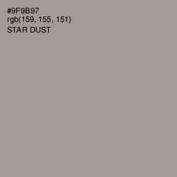 #9F9B97 - Star Dust Color Image